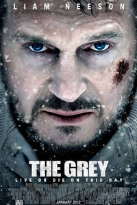 The Grey Poster
